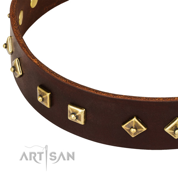 Unique full grain leather collar for your impressive doggie