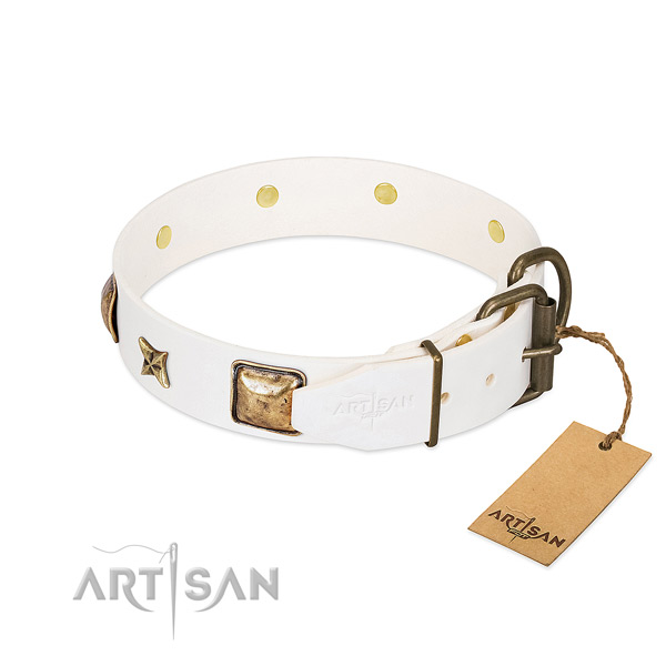 Full grain natural leather dog collar with strong hardware and embellishments