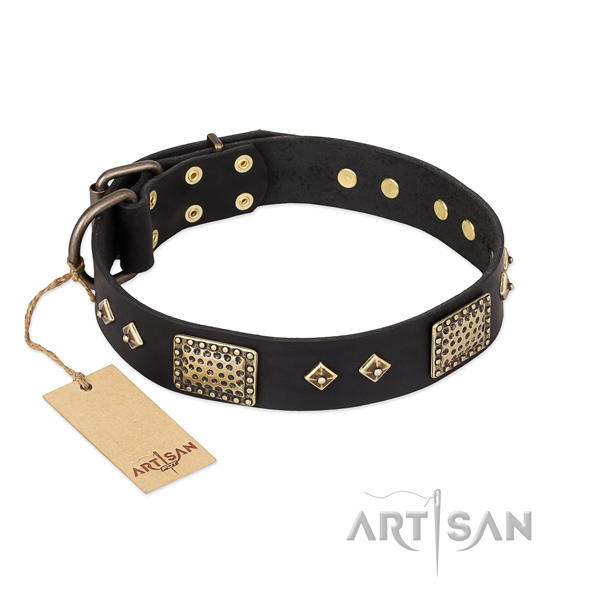 Studded leather dog collar for basic training