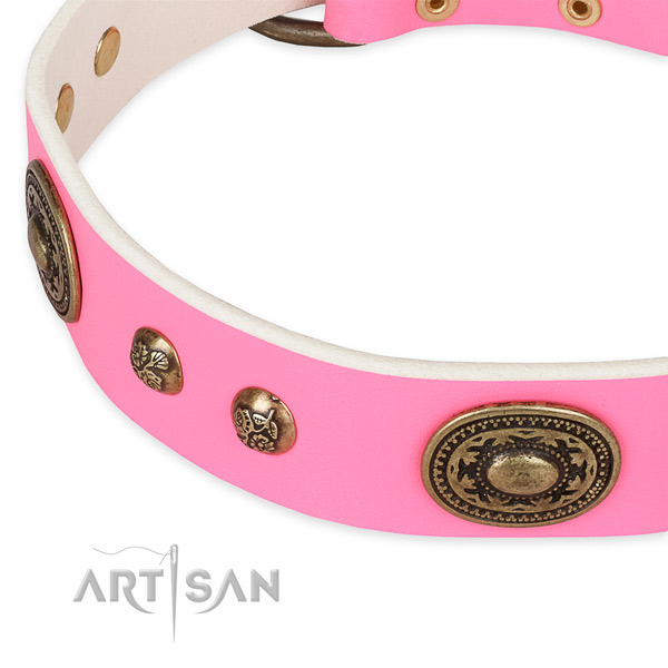 Extraordinary leather collar for your attractive pet