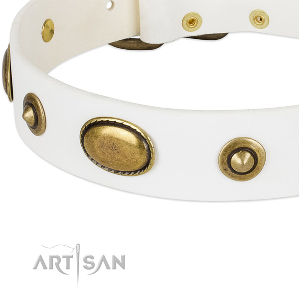 Rust-proof embellishments on full grain genuine leather dog collar for your pet