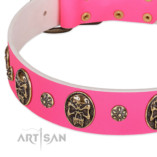 Adjustable dog collar made for your stylish pet