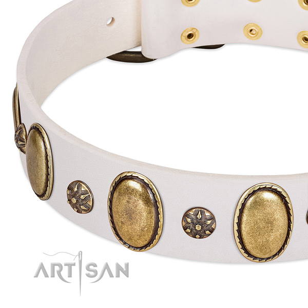 Everyday walking soft leather dog collar with adornments