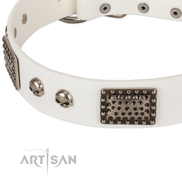 Strong embellishments on full grain natural leather dog collar for your doggie