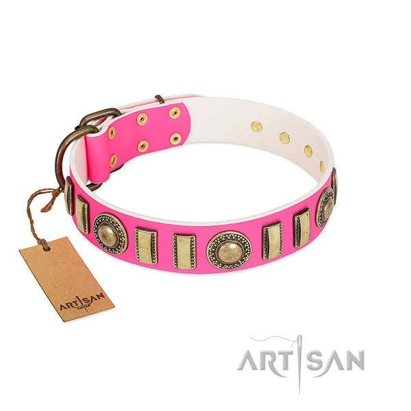 Embellished full grain leather dog collar with corrosion proof D-ring