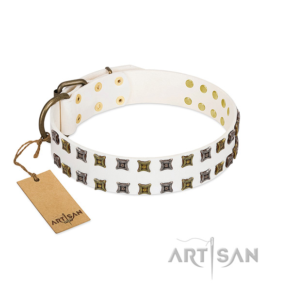 Best quality full grain leather dog collar with embellishments for your doggie