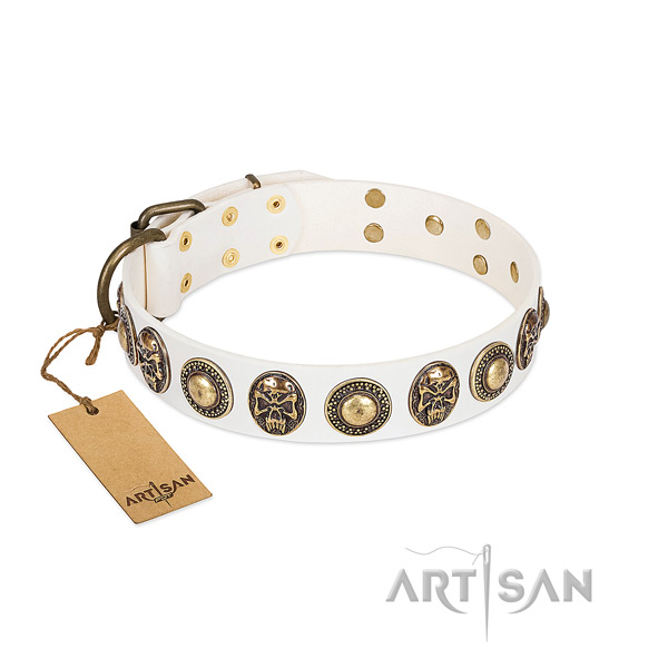 Easy adjustable leather dog collar for stylish walking your canine