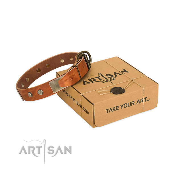 Corrosion proof traditional buckle on dog collar for basic training