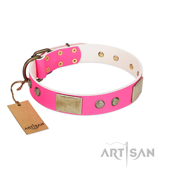 Easy wearing full grain genuine leather dog collar for walking your dog