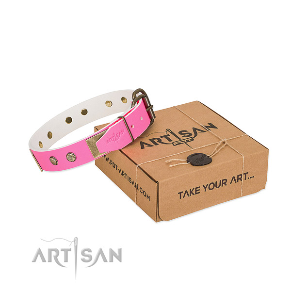 Durable hardware on dog collar for everyday use
