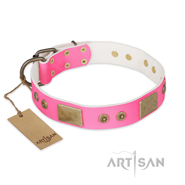 Adjustable full grain genuine leather dog collar for daily walking your four-legged friend