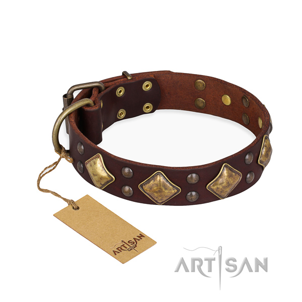 Handy use best quality dog collar with corrosion proof buckle