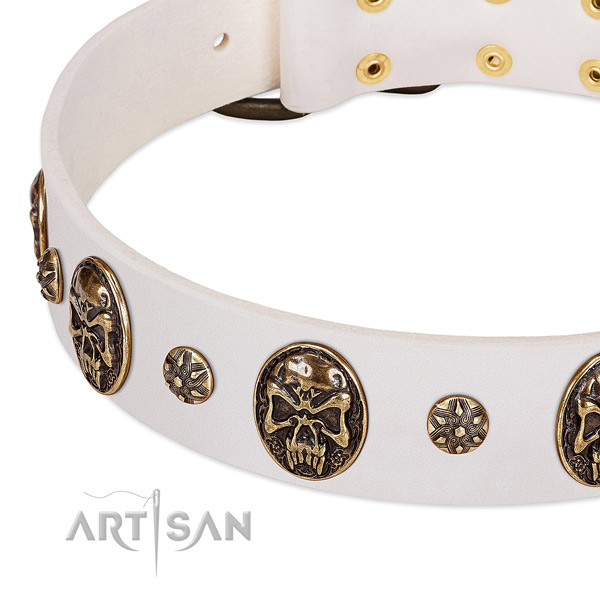 Rust resistant buckle on leather dog collar for your dog