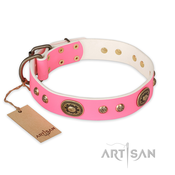 Easy wearing full grain natural leather dog collar for walking