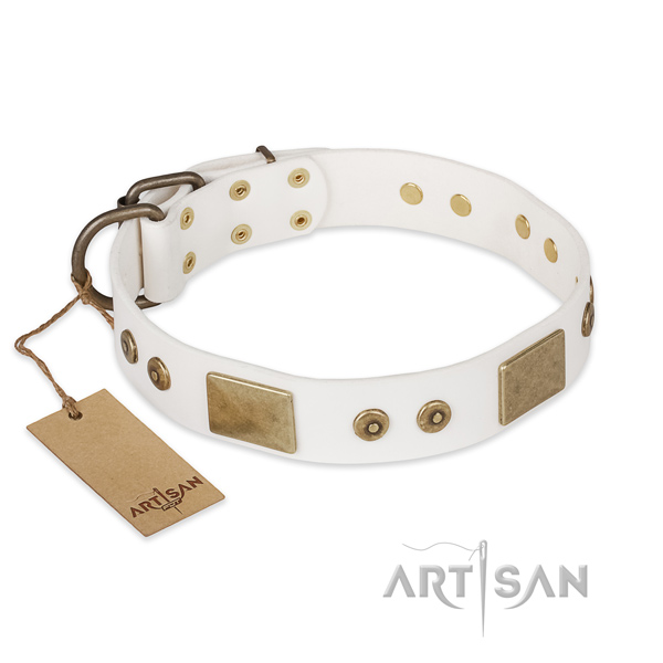 Stylish natural leather dog collar for daily use