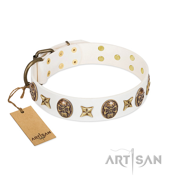 Exceptional full grain leather dog collar for walking