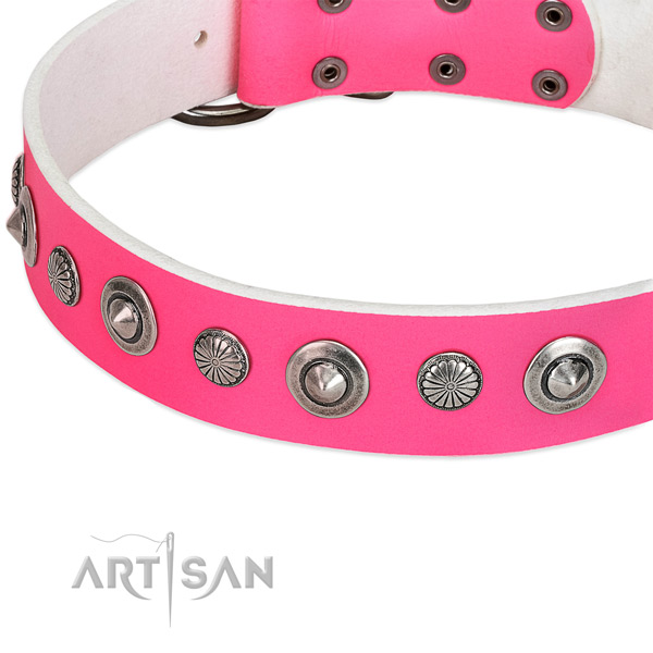 Full grain natural leather collar with rust-proof D-ring for your attractive pet