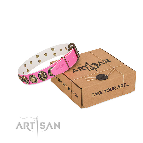 Reliable hardware on dog collar for easy wearing