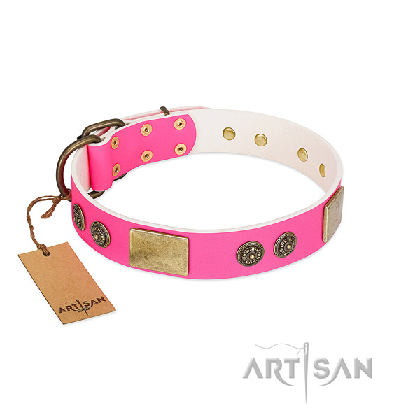 Remarkable full grain natural leather dog collar for walking