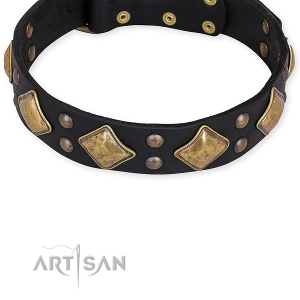Genuine leather dog collar with stylish design strong studs
