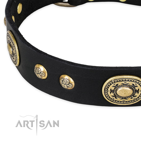 Easy to adjust genuine leather collar for your beautiful canine