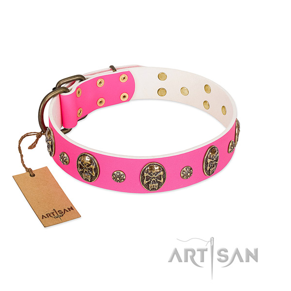 Unique leather dog collar for stylish walking