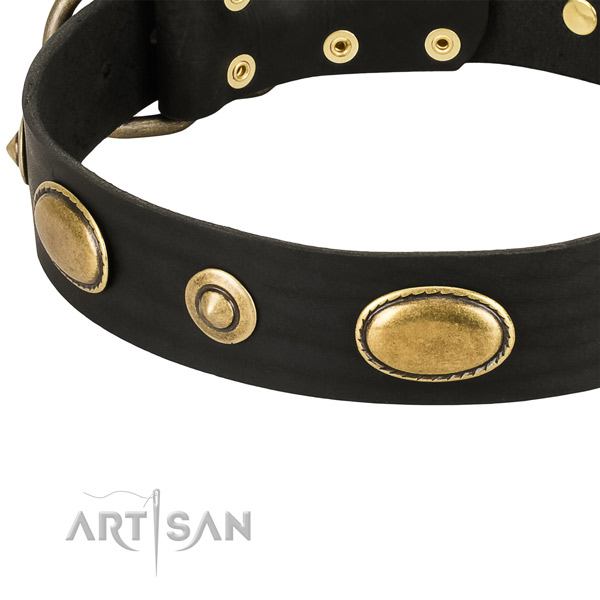 Durable traditional buckle on natural leather dog collar for your dog