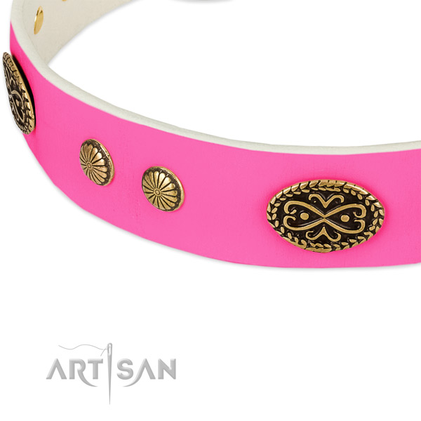 Strong decorations on full grain natural leather dog collar for your pet