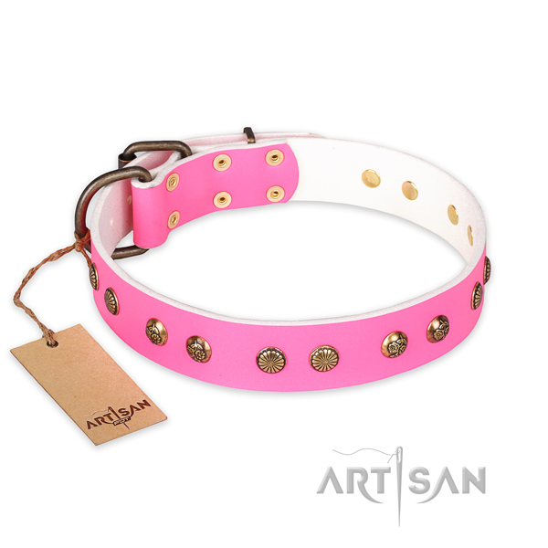 Top notch genuine leather dog collar with reliable hardware
