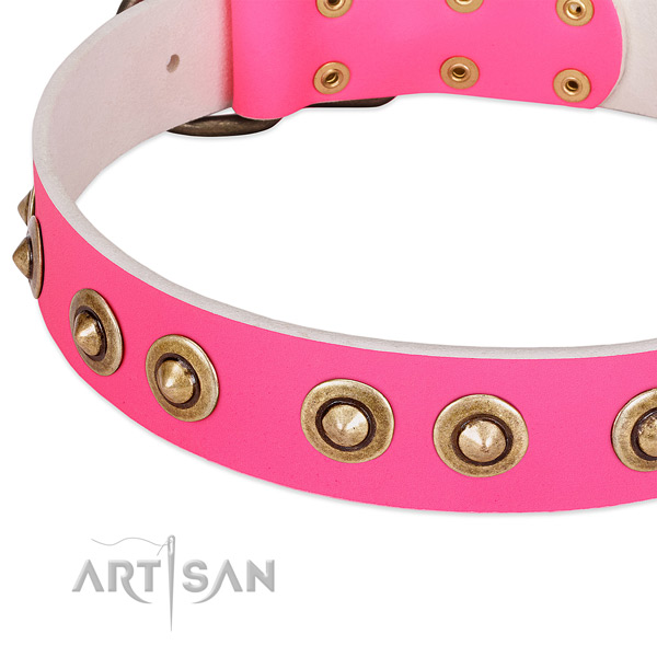 Rust-proof decorations on full grain natural leather dog collar for your dog