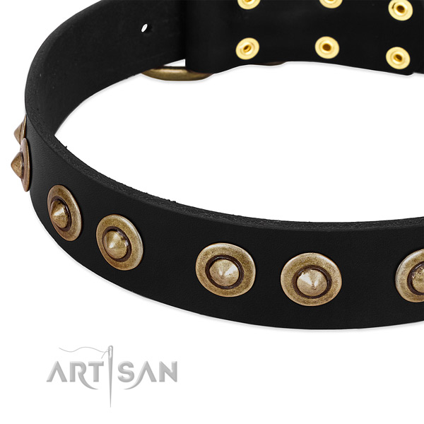 Corrosion proof traditional buckle on leather dog collar for your canine