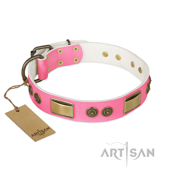 Exceptional leather dog collar for handy use