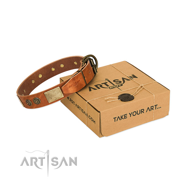 Corrosion proof hardware on genuine leather dog collar for basic training