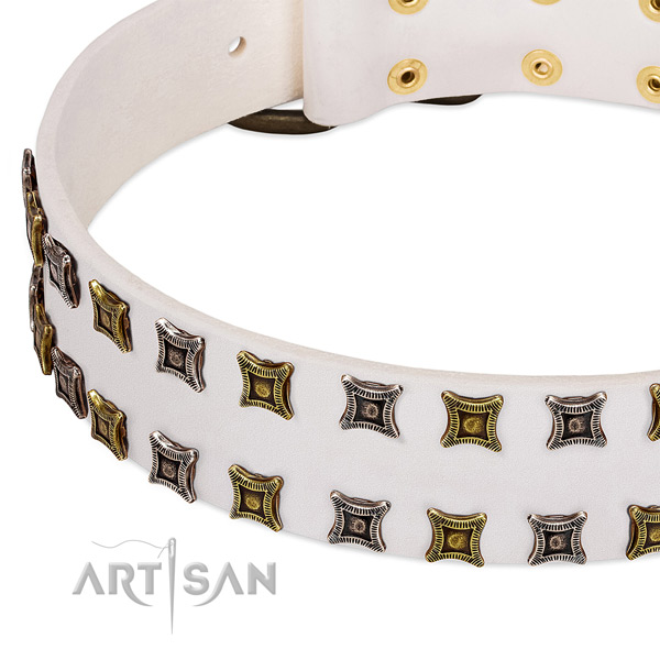 Full grain leather dog collar with embellishments for your beautiful dog