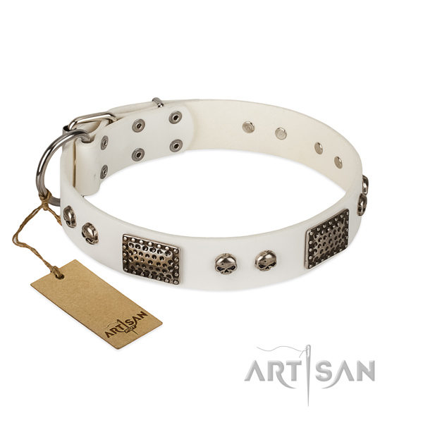 Easy wearing genuine leather dog collar for basic training your four-legged friend