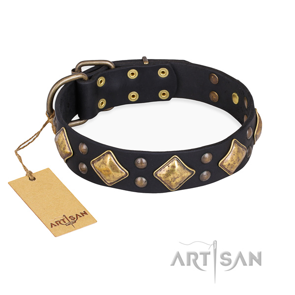 Comfy wearing fine quality dog collar with reliable traditional buckle