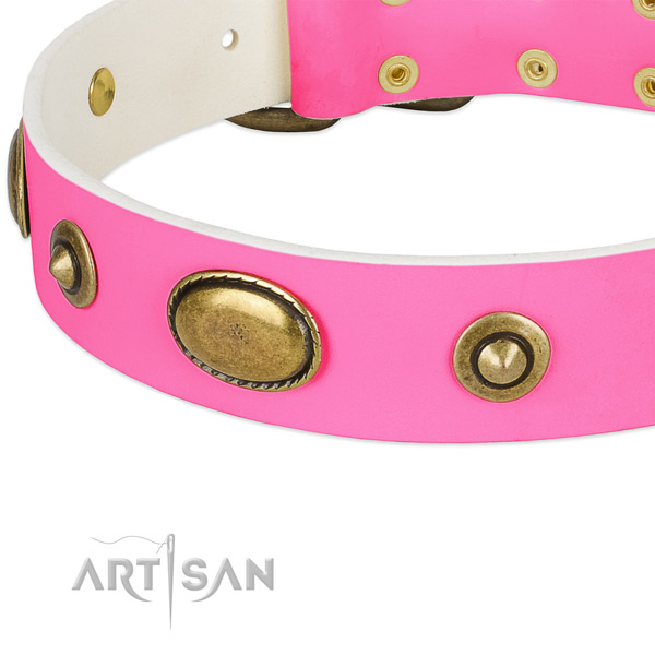 Durable adornments on natural leather dog collar for your dog