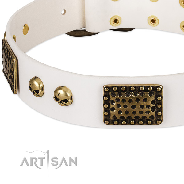 Durable studs on full grain natural leather dog collar for your doggie