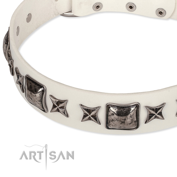 Fancy walking studded dog collar of top notch full grain leather