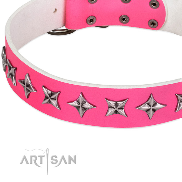 Stylish walking decorated dog collar of quality full grain leather