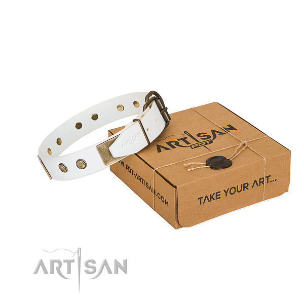 Corrosion resistant buckle on dog collar for stylish walking
