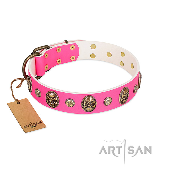 Durable traditional buckle on full grain leather dog collar for your canine