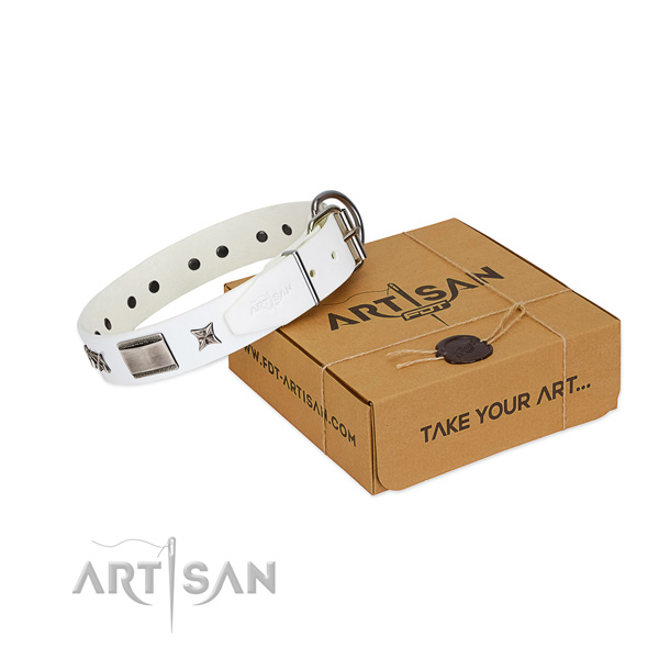 Significant collar of natural leather for your attractive four-legged friend
