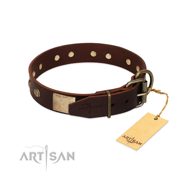 Corrosion resistant traditional buckle on stylish walking dog collar