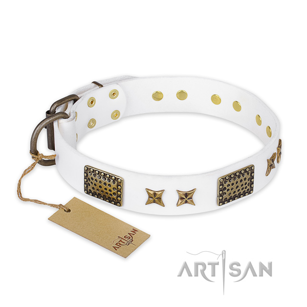 Decorated leather dog collar with strong fittings