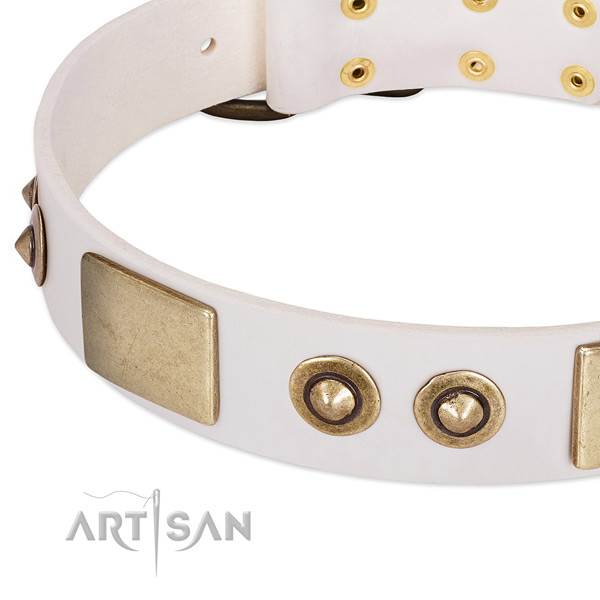 Durable decorations on full grain natural leather dog collar for your dog