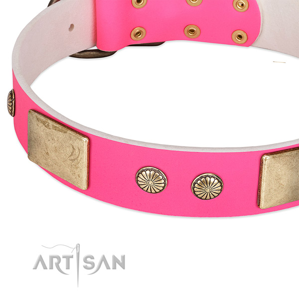 Reliable D-ring on genuine leather dog collar for your four-legged friend
