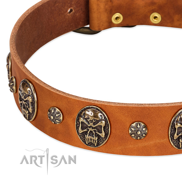 Rust-proof studs on genuine leather dog collar for your pet