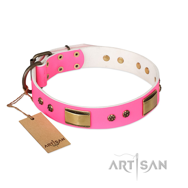 Stunning full grain natural leather collar for your dog