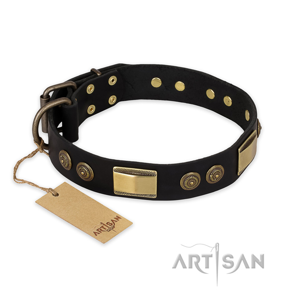 Awesome leather dog collar for fancy walking